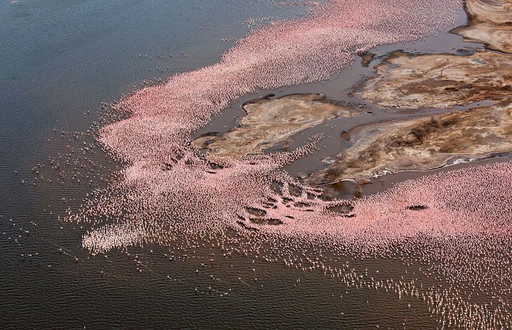 Geysers at Lake Bogoria